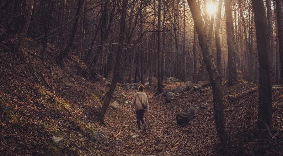 foret automne paris